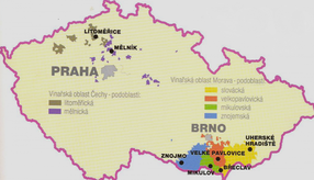 Czech wine map